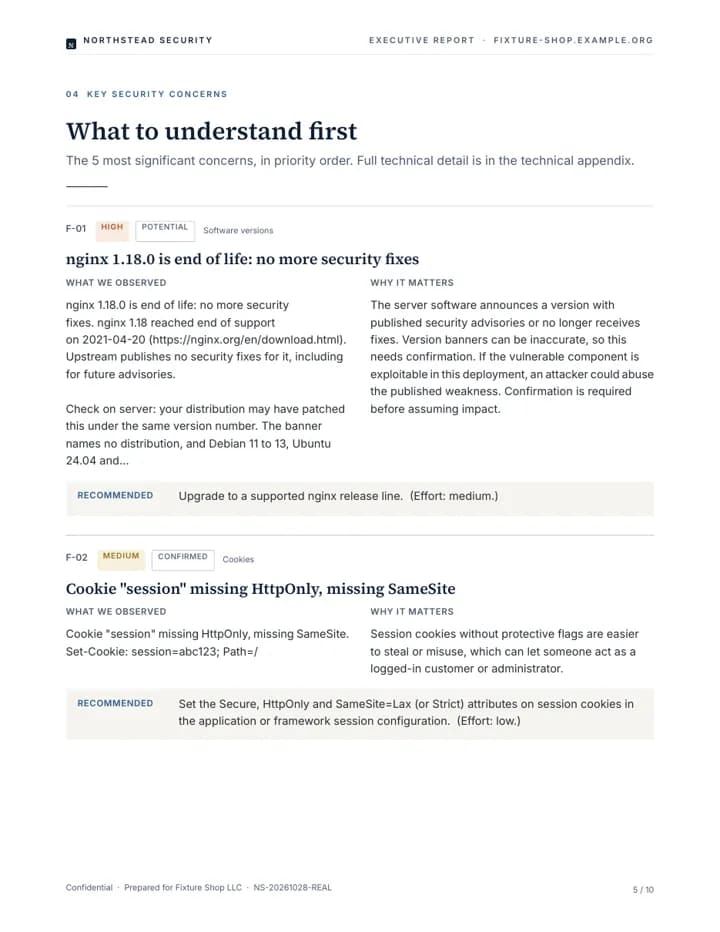 Key concerns page of a sample executive report